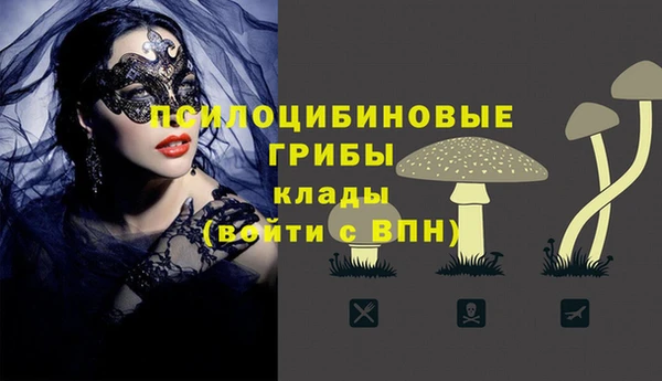 гашишное масло Гусиноозёрск