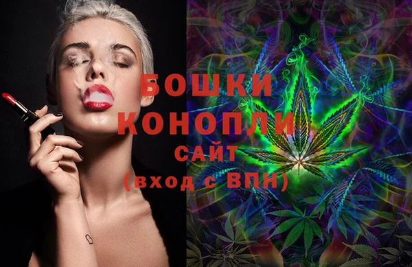 эйфоретик Гусь-Хрустальный