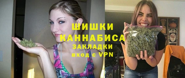эйфоретик Гусь-Хрустальный