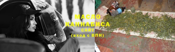 эйфоретик Гусь-Хрустальный