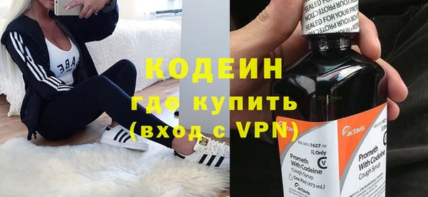 эйфоретик Гусь-Хрустальный
